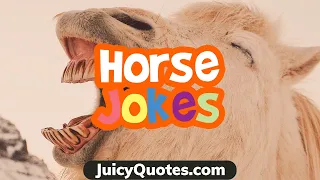 Funny Horse Jokes - That Will Crack You Up