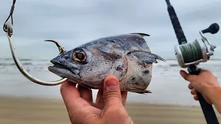 This Is How You Catch A Beach Monster