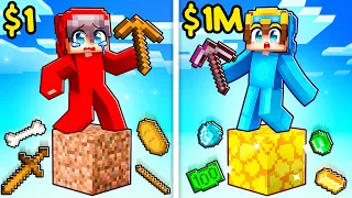 $1 vs $1,000,000 ONE BLOCK In Minecraft!