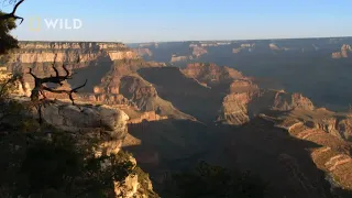 Zobacz jak powstał Wielki Kanion Colorado [Największe parki narodowe Ameryki]