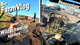 Schaden im Mais begutachten & BGA Dienst / Vlog 59