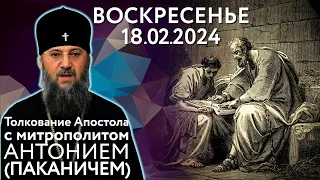 Воскресенье, 18 февраля 2024 года. Толкование Апостола с митр. Антонием (Паканичем).