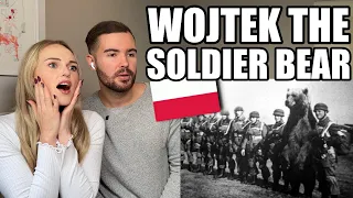 Reaction The Heart Melting Story Of Wojtek 🇵🇱, The Soldier Bear