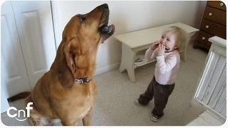 Toddler and Dog Sing the Blues