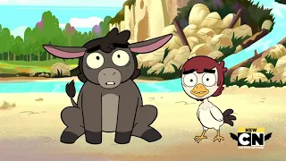 Donkey and Rooster Transformations