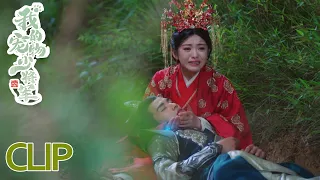 The cat prince is badly injured, what can the girl do?  | Be My Cat EP12 CLIP | 我的宠物少将军 |KUKAN Drama