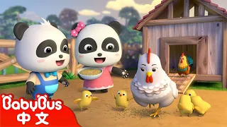 餵雞 | 經典中文兒歌 | 熱門國語兒歌 | Kids Song | 童謠 | 動畫 | 卡通片 | BabyBus | 寶寶巴士