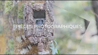 Loup et Réserves Naturelles - EP3 - Pièges photographiques