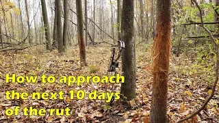 How to approach the next 10 days of the rut - Nov 5-15