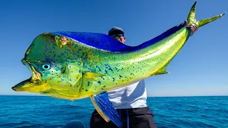 GIANT Deep Sea Mahi Mahi! Catch Clean Cook (Puerto Vallarta, Mexico)