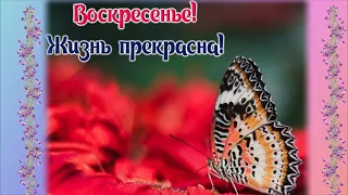 Воскресенье! Жизнь прекрасна!/ Доброе воскресное утро!/ Добрый день!