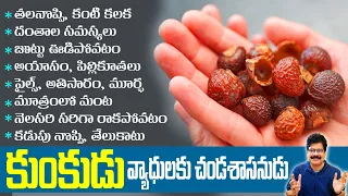 కుంకుడు, వ్యాధులకు చండశాసనుడు! Soup Nut(kunkudu kayalu)Health  Benefits | #healthtips #reetha