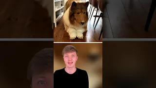 Man turns himself into a dog