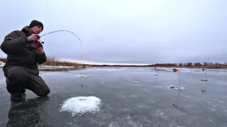 ЗДЕСЬ ЩУК БОЛЬШЕ ЧЕМ Я ДУМАЛ! РЕКА ПОЛНА РЫБЫ! Рыбалка на жерлицы и балансир.