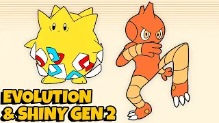 Pokemon Evolution FULL Generation 2 Animation 🌟 Shiny