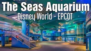 The Seas Aquarium - Disney World EPCOT