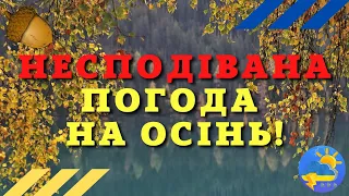 Терміново! Кліматолог дала несподіваний прогноз на осінь: якої погоди чекати українцям?