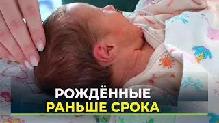 Всего 500 граммов: как на Ямале выхаживают недоношенных детей