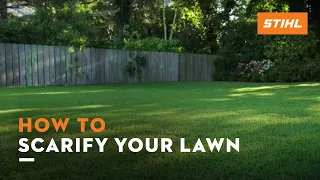 How to scarify your lawn | STIHL Tutorial