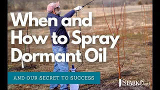 Spraying Fruit Trees with Dormant Oil/Liquid Copper for Overwintering Insects & Disease