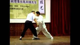 Taichi push hand demonstration Korea Malaysia