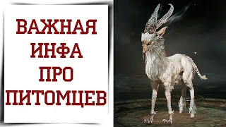 Как получить нужного фамилиара в Diablo Immortal