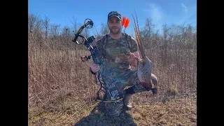PHEASANT Hunt With A BOW