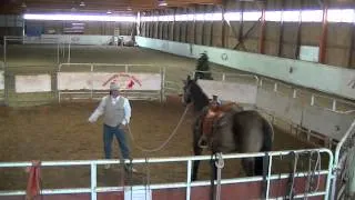 Horse Training - Restarting an Older Horse