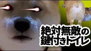 【犬猫アテレコ】ヤバい目をした愛犬、そして絶対無敵トイレ