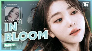 [AI COVER] What if Kep1er debuted with ‘In Bloom’ instead of WADADA?
