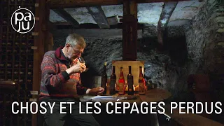 Chosy a voué sa vie au sauvetage de cépages rares et anciens