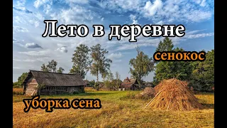 ЛЕТО В ДЕРЕВНЕ. СЕНОКОС. УБОРКА СЕНА. Деревенские будни #21