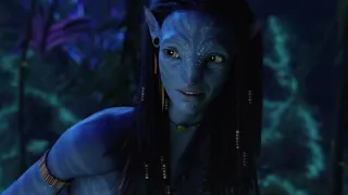 2018.05.12. - 2009.12.10. "Реченька - Avatar". Диана Анкудинова - James Cameron.