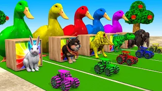 5 Giant Duck, Monkey, Piglet, chicken, dog, buffalo, cow, Sheep, Transfiguration funny animal 2023