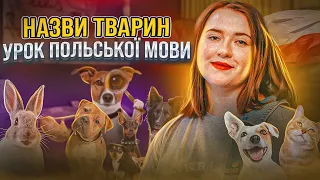 Уроки польської мови. Назви тварин польською мовою. Частина 2. Польська мова