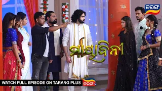 Mayabini | Ep 40 | 1st Dec 2022 | Best Scene | Odia Serial–TarangTV