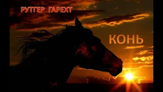 РУТГЕР ГАРЕХТ  КОНЬ(ЛЮБЭ)