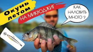 Как НАЛОВИТЬ МНОГО ОКУНЯ на МИКРОДЖИГ. Летний спиннинг на реке! Окунь дуреет от этой..