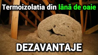 Termoizolatia din lana de oaie – Dezavantaje