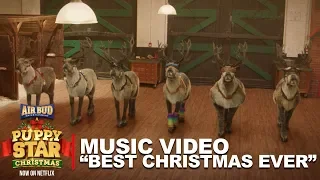 Puppy Star Christmas Music Video - "Best Christmas Ever"