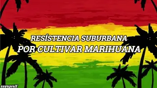 Resistencia Suburbana - Por Cultivar Marihuana (Letra)