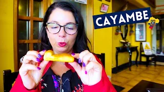 5 Tasty Reasons to Love CAYAMBE Ecuador | Ecuadorian Food