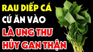 CẢNH BÁO: 6 Tác Hại KINH HOÀNG Của Rau Diếp Cá, Không Biết Ăn Vào Có Ngày Toi Mạng