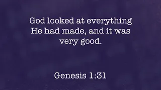 God Looked at Everything He Had Made (Genesis 1:31)