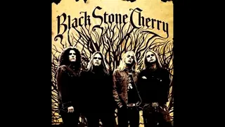 Black Stone Cherry - Give Me One Reason (Clean)