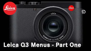 Leica Q3 Menu Settings (Photo)