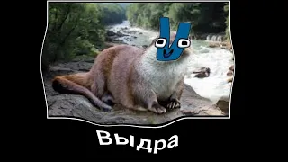 Алфавит лор + ШИЗА =