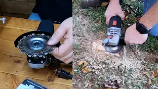 How To Get Rid Of Tree Roots FAST!