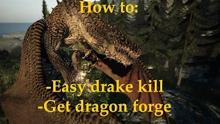 Easy drake and early dragon forge guide (Dragon's Dogma Dark Arisen)