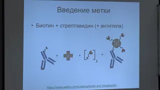 Фенюк Б. А. - Методы исследования единичных биомолекул - Лекция 8